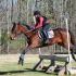 Poplar Place Horse Trials